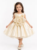 Girls' Premium Champagne Satin Party Wear Frock with 3D Floral Appliqué – Elegant Sleeveless Princess Frock