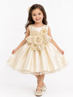 Girls' Premium Champagne Satin Party Wear Frock with 3D Floral Appliqué – Elegant Sleeveless Princess Frock