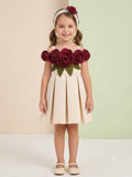 Baby Girls Cream Flower Frock with Matching Booties