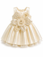 Girls' Premium Champagne Satin Party Wear Frock with 3D Floral Appliqué – Elegant Sleeveless Princess Frock