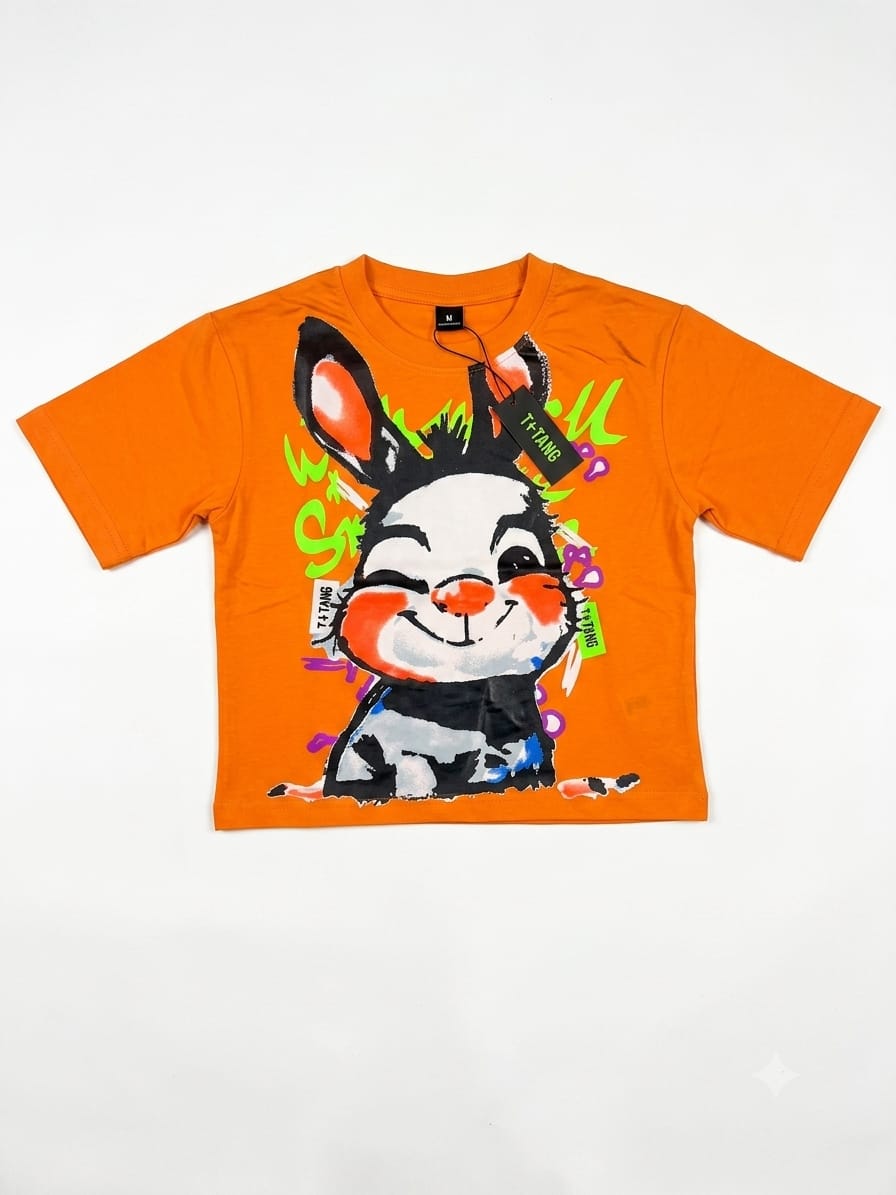 Orange Cartoon Graphic Kids Half Sleeve T-Shirt